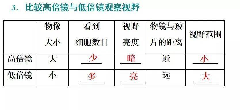 今晚最准三肖|全面解释解析落实钻石豪华版316.329