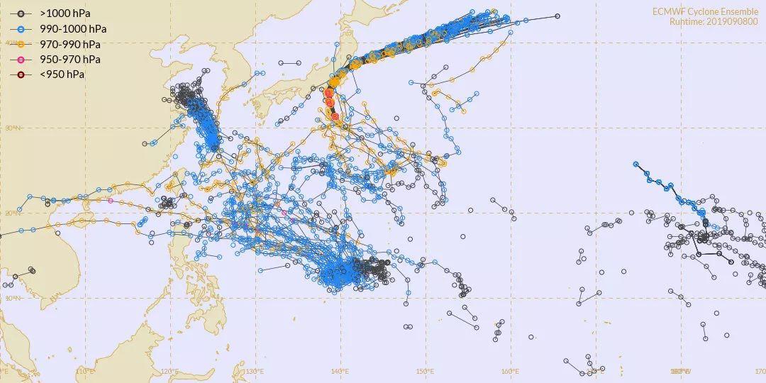 厦门台风最新天气预报