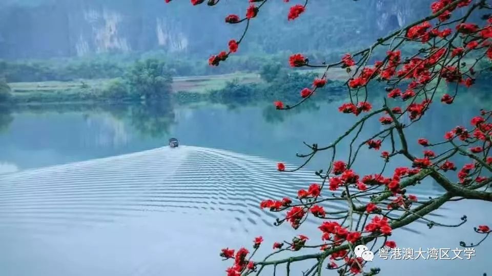 风雨雷霆相伴来，一阵更比一阵强，水中倒影木棉花，相映成趣似姊妹。打一精准生肖动物|词语释义解释落实