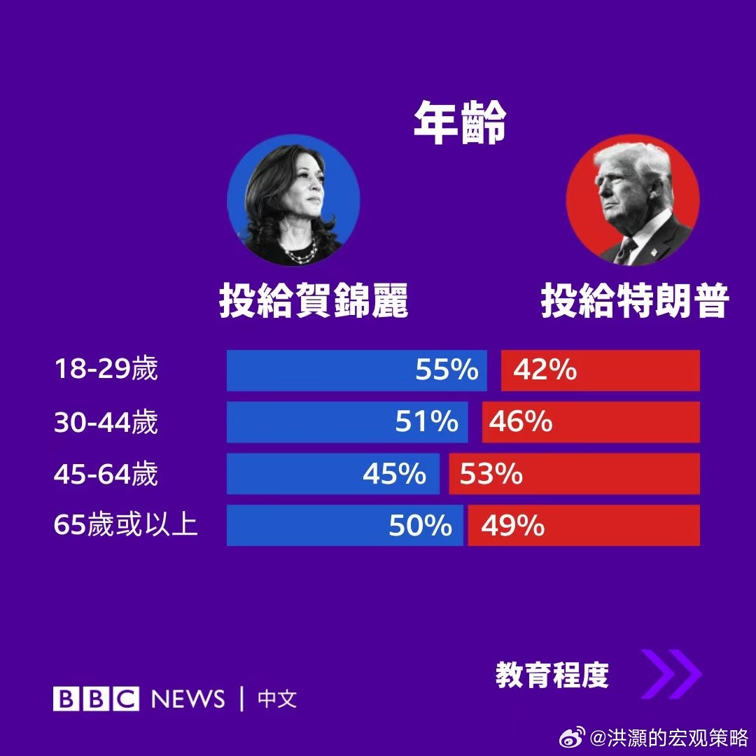 美国总统大选最新报告，历史变迁与未来展望