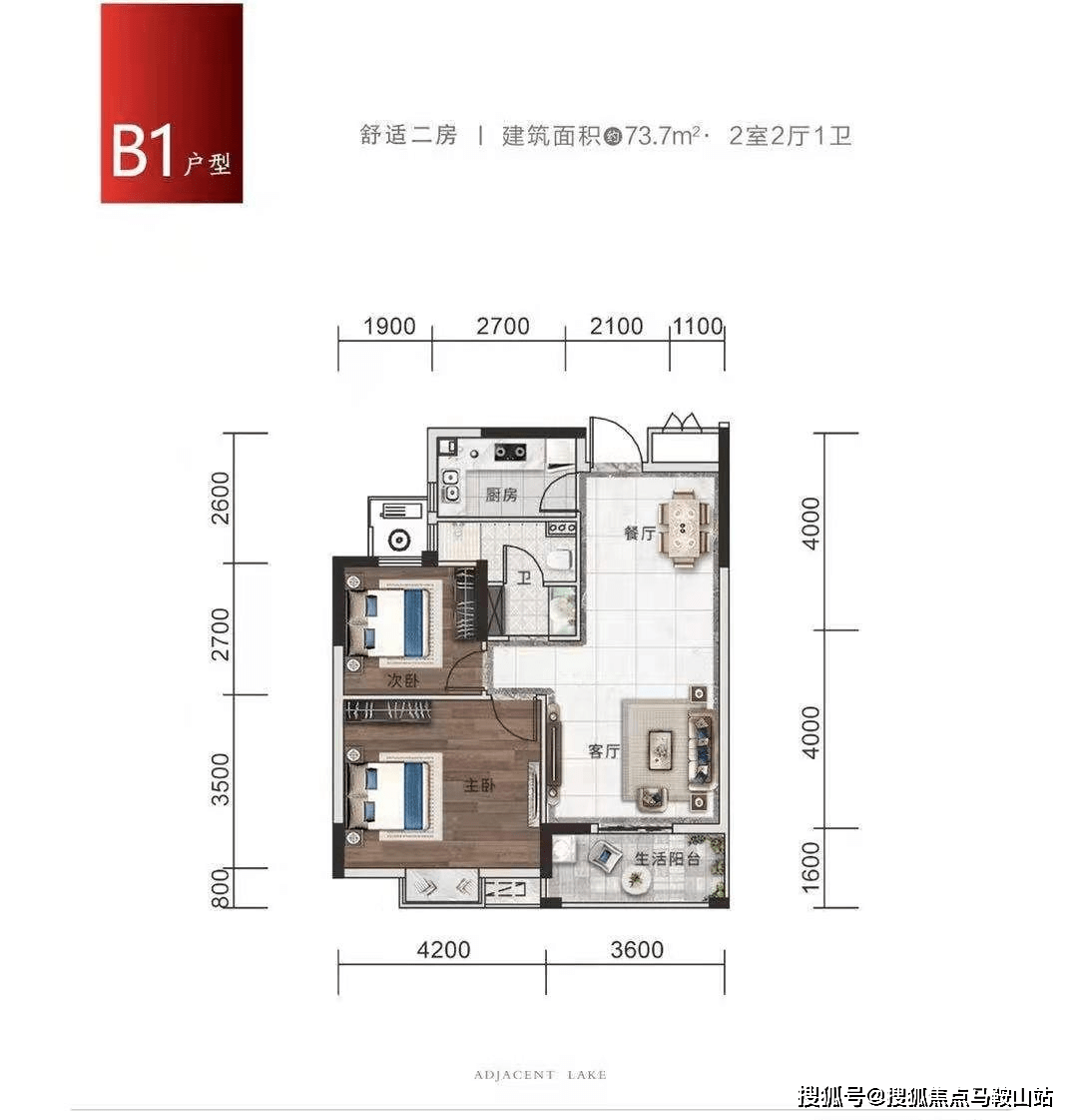 保和堂最新消息全面解析