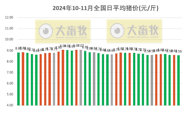 今日猪肉价格的最新走势分析