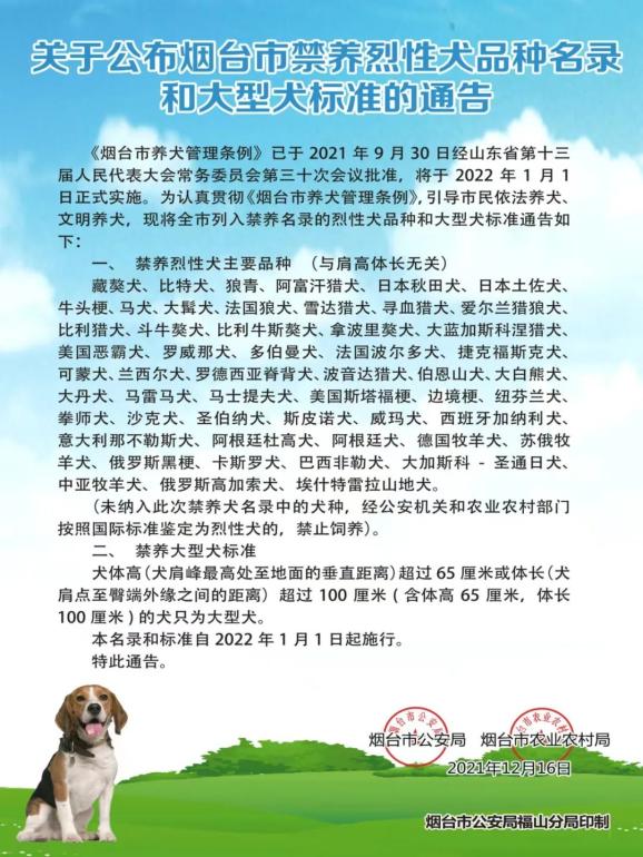 日照市禁养犬最新通知，深度解读与影响分析