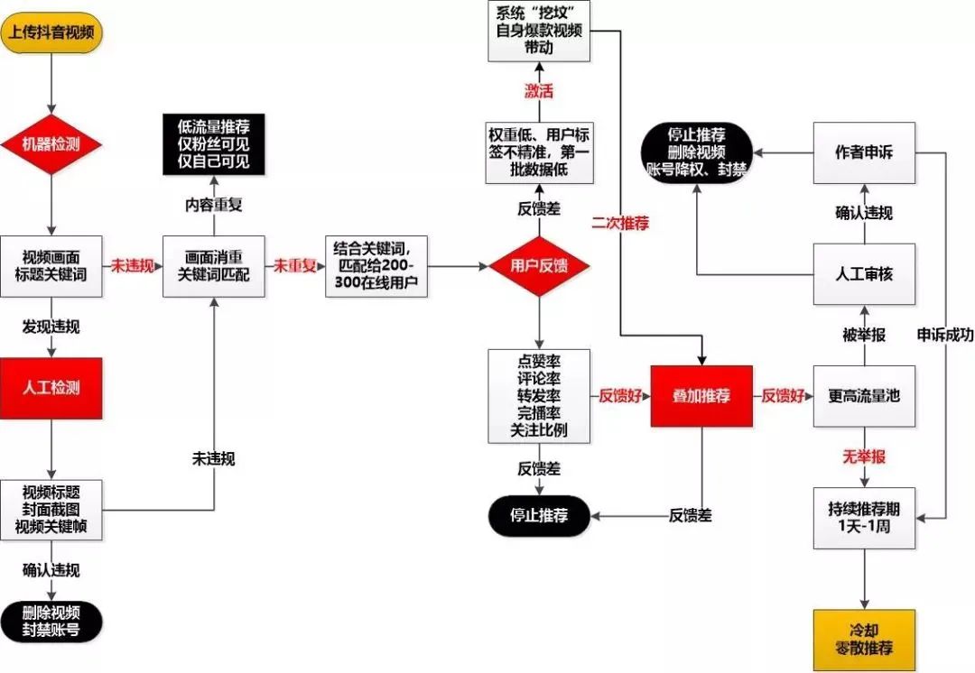 抖音怎么是最新版，更新流程、优势特点与用户体验解析