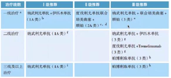 肺癌诊疗指南最新版概述与应用